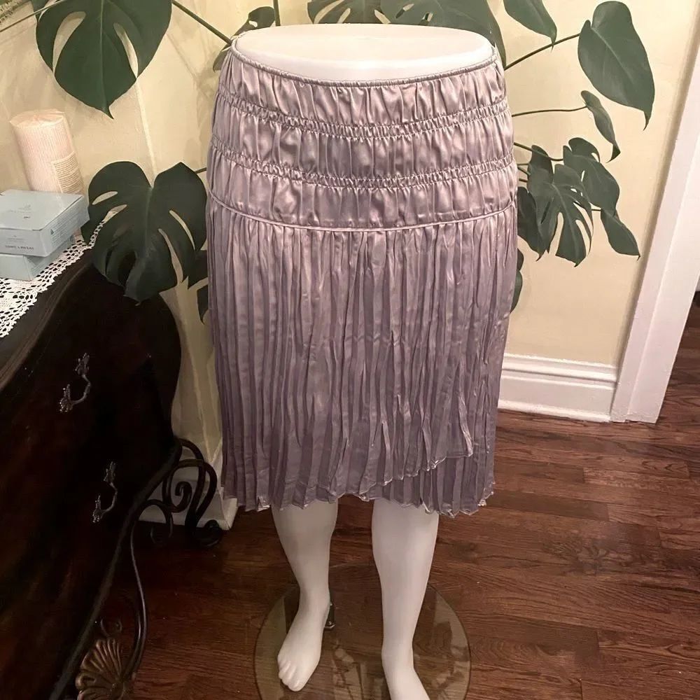 *SUNDANCE* Chic * Glam Metallic Pleated Skirt Size 10